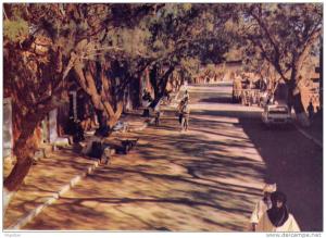 ALGERIE / ALGERIEN   Le Hoggar Tamanrasset