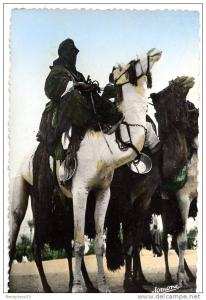 CPA (RéfJ988)  Méharistes à Tamanrasset (AFRIQUE ALGÉRIE Scènes & types) (animée)