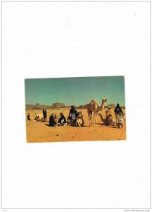 MAROC   Tamanrasset        caravane  Touareg