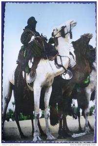 Carte Postale  ALGERIE - SCENES & TYPES - MEHARISTES A TAMANRASSET (Frais envoi France OFFERTS)