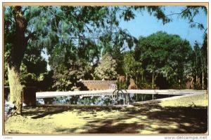 CPSM Algérie  Hoggar  Tamanrasset > la piscine