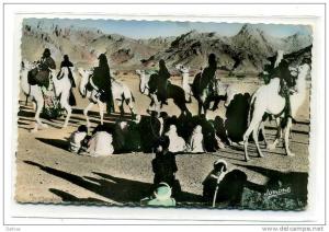 SCENES ET TYPES DANSE DES CHAMEAUX A TAMANRASSET