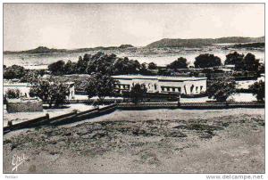 AFRIQUE. ALGERIE. TAMANRASSET. Vue sur Les Bâtiments Administratifs. Carte Dentelée.
