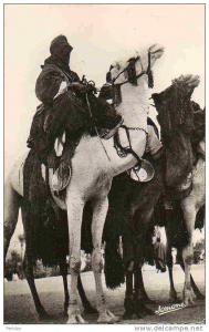 AFRIQUE. ALGERIE. TAMANRASSET. Vue sur Les Méharistes. Carte Dentelée.