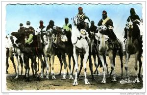 (197) Sahara Algerie Tamantasset Touaregs Dunes Mehari photo veritable Jomone Cachet Tamanrasset Oasis 1960