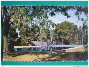 C.P.M. ALGERIE - TAMANRASSET - La Piscine