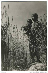 TAMANRASSET Ligne du Hoggar Champ de Blé Cpsm