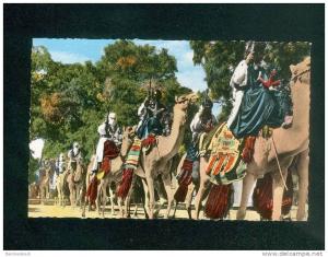 Algerie - Tamanrasset ( Hoggar) - Touaregs et Chambaas ( animée camel dromadaire tenue combat JOMONE 349 H format CPA)