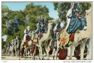 CP 1955 TAMANRASSET (HOGGAR) - TOUAREGS ET CHAMBAAS