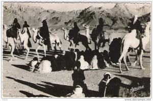 CPSM     ALGERIE    DANSE DE CHAMEAUX A TAMANRASSET