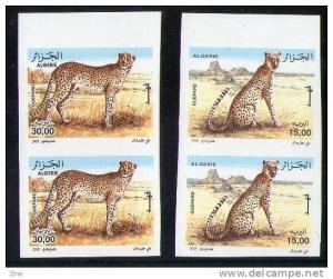Algeria - n ° 1413/4 imperforate cheetahs the cheetah tassili