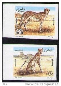Algeria - n ° 1413/4 imperforate cheetahs the cheetah tassili