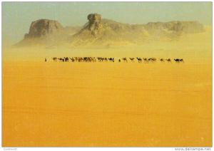 Algérie , tres belle cpm , du Sahara , Tassili des Ajjers.