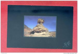 CPSM ALGÉRIE - TASSILI Monument du TADRART - Archéologie Ethnologie  ALGERIA AFRIQUE AFRICA Card Carte