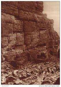 mission bruneau SAHARA FRANCAIS    gorges   asafao  pres de tassili  des azder  hoggar  djanet