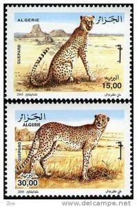 Algeria - n ° 1413/4 ghepardi il ghepardo Tassili