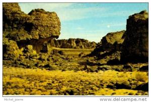 Algérie Tassili N' Ajjer  le Canyon