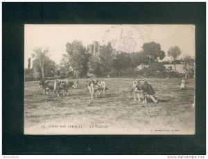 Algérie - Bordj Bou Arreridj - La Redoute ( animée vaches Phot. J. Geiser dest. Lina Wolf Levallois Perret) )