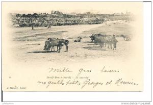 BORDJ BOU ARRERIDJ LE MARCHE CPA BON ETAT