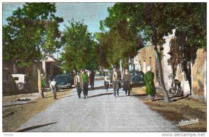 AFRIQUE. ALGERIE. M´SILA. Vue sur La Rue de Borj Bou Arréridj. Carte Dentelée.
