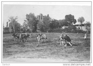 ALGERIE / FL / BORDJ BOU ARRERIDJ, La redoute, (troupeau), N° 13 J Geiser photo