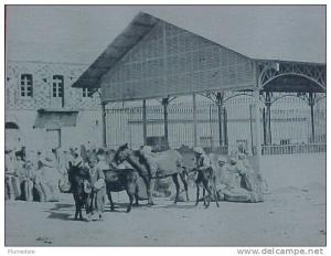 cpa  ALGERIE KHENCHELA  animée   HALLES AU GRAIN paysans mules anes , 1907  voir détails   ** Achat Direct **