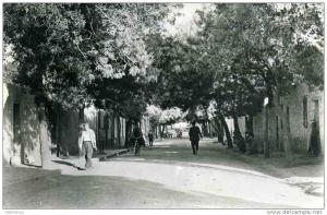 ALGERIE -  KHENCHELA - RUE DE LA POSTE