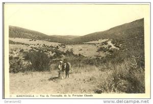 CPA Algerie KHENCHELA