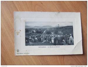 CPA U5  SOUK-AHRAS - Marché aux bestiaux  ANIMEE @@@@@@@@@@@@@@@@@