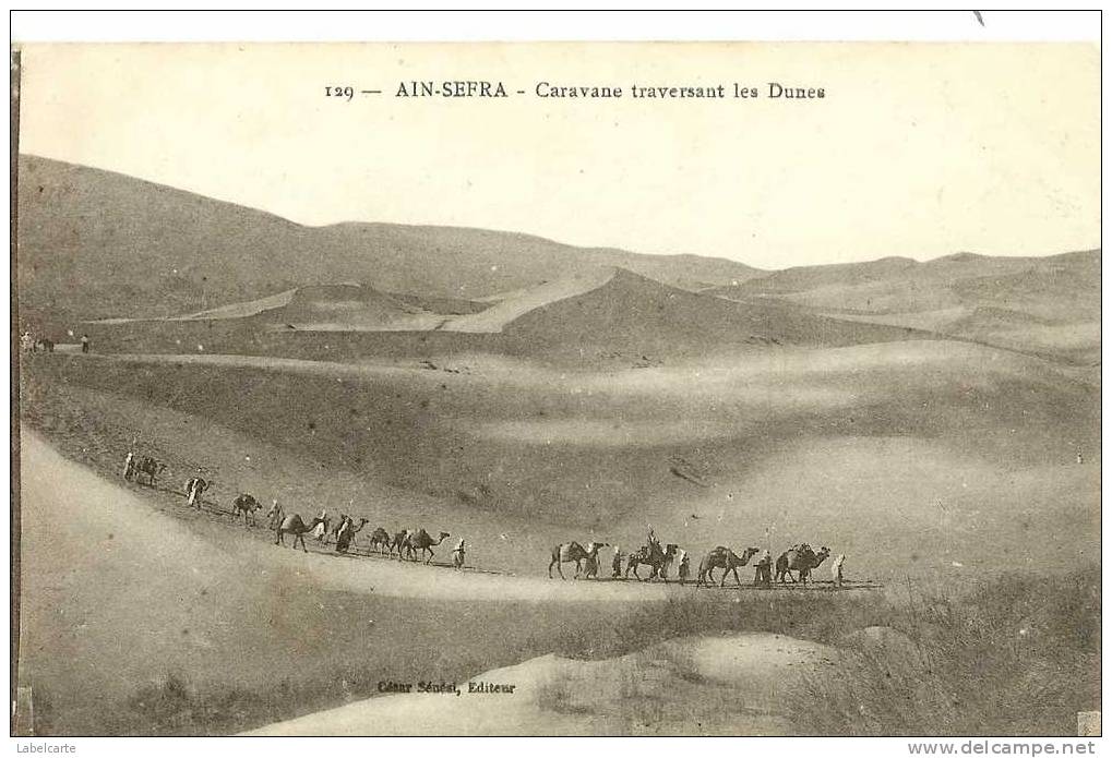 ALGERIE.AIN SEFRA.CARAVANE TRAVERSANT LES DUNES