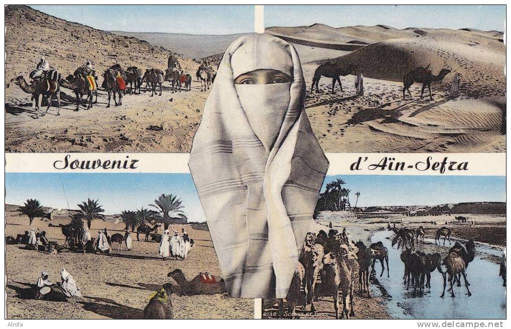 SOUVENIR D´AIN-SEFRA -