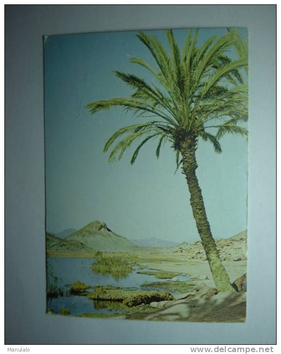 algerie - hammam ouarka  (environs de ain-sefra)