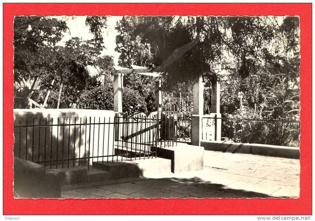 AIN SEFRA cpsm Cadran Solaire et Jardin de l' Eglise        58 CAP