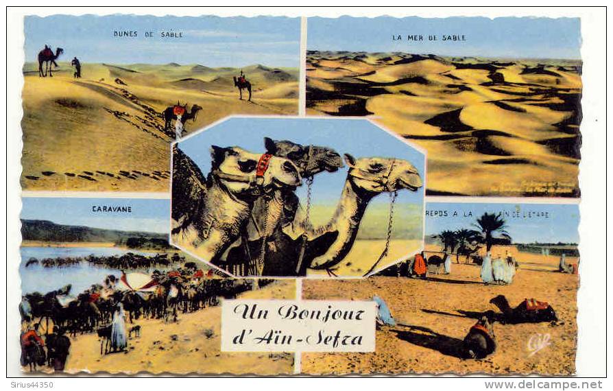 UN BONJOUR D'AiN -SEFRA