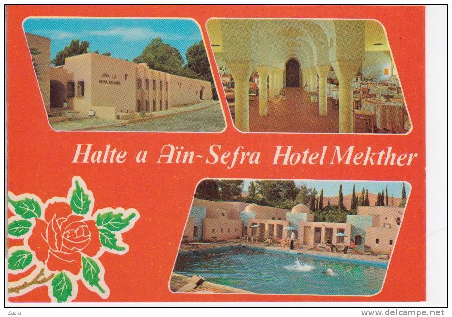 ALG.195/ Souvenir d´AIN-SEFRA - Hotel MEKTHER