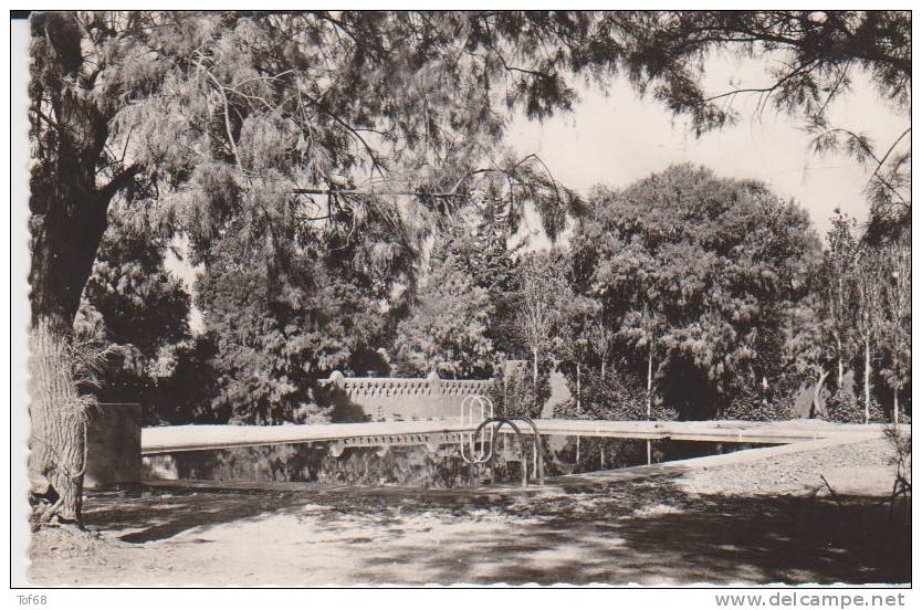 Tamanrasset la piscine
