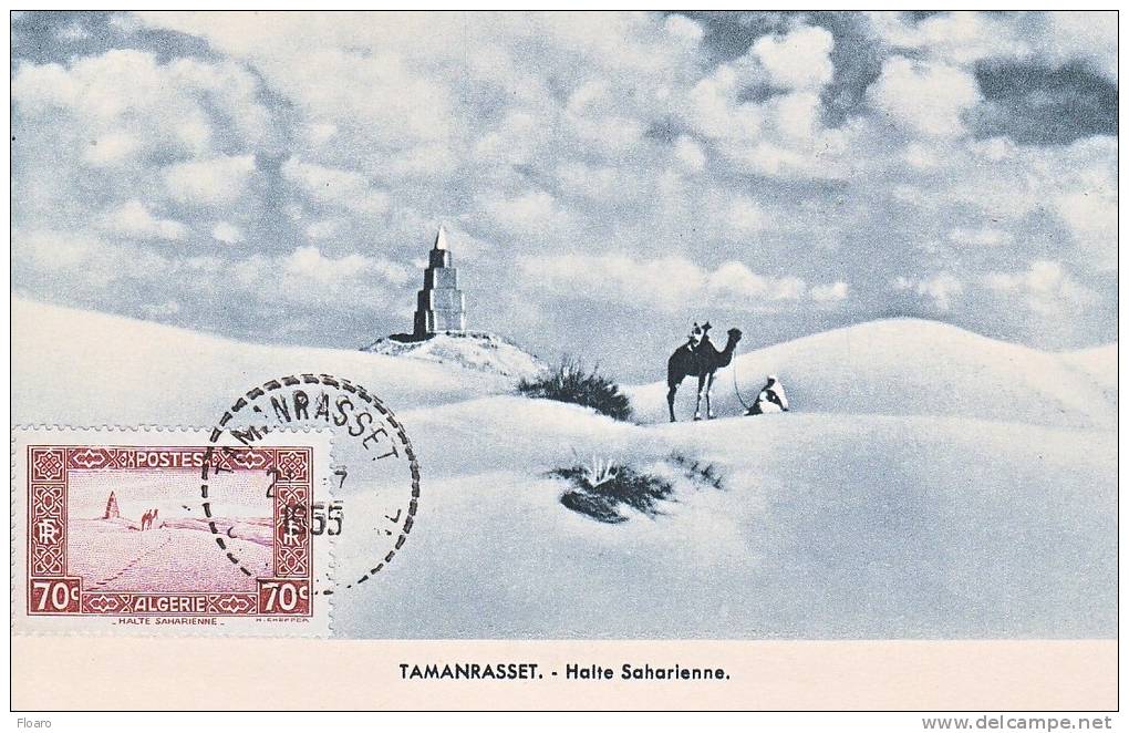 Carte-Maximum ALGERIE N°Yvert 138 / Tamanrasset