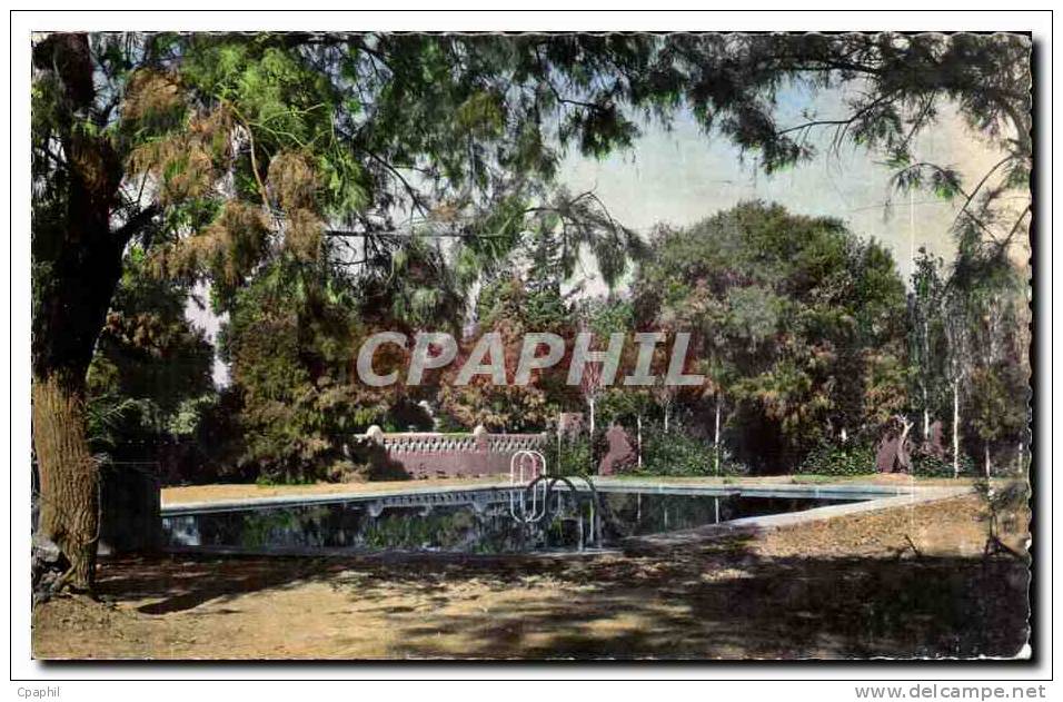 CPA Algerie TAMANRASSET La Piscine