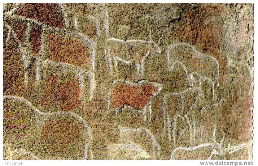 CPSM-TAMANRASSET-HOGGAR-G RAVURES  RUPESTRES D´HIRAFAK