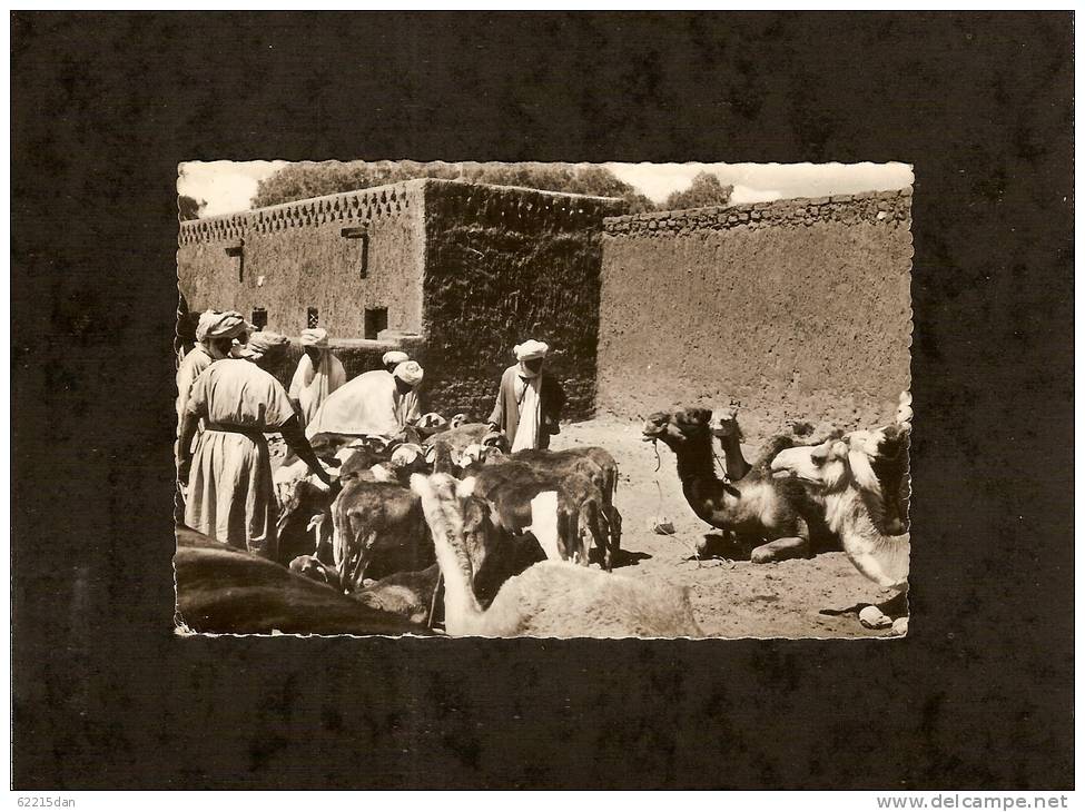 TAMANRASSET . HOGGAR  . LE MARCHE