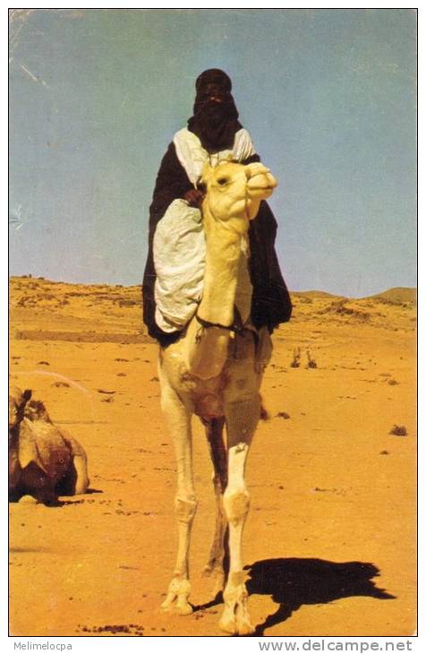 CPSM carte postale ancienne AFRIQUE ALGERIE TAMANRASSET Targui dromadaire
