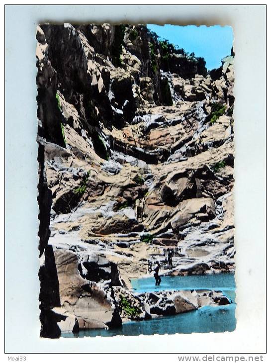 Carte postale Ancienne  TAMANRASSET  Grandes gueltas , animé