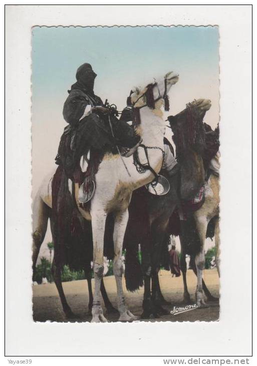 Algérie N° 29 Méharistes à Tamanrasset belle carte dentelée