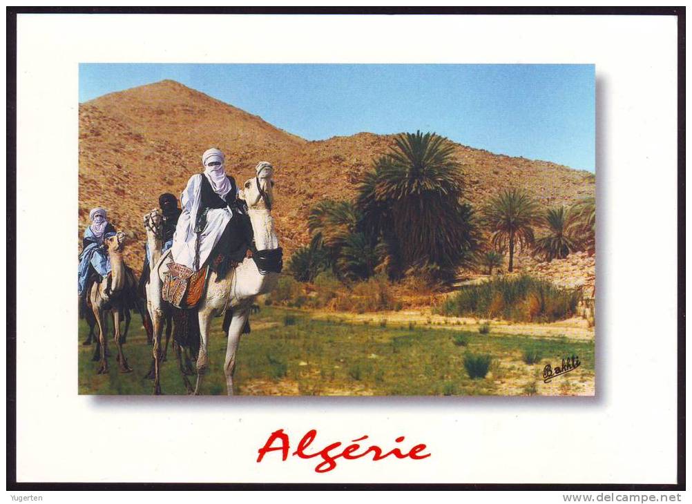 ALGERIE - ALGERIA - CPA - Tamanrasset - L'Oued de Tanguett - Sahara - Desert - Touareg - Le Thé - Neuve/Mint