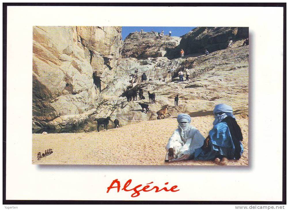ALGERIE - ALGERIA - CPA - Tamanrasset - Sahara - Desert - Touareg - Hoggar - Neuve/Mint