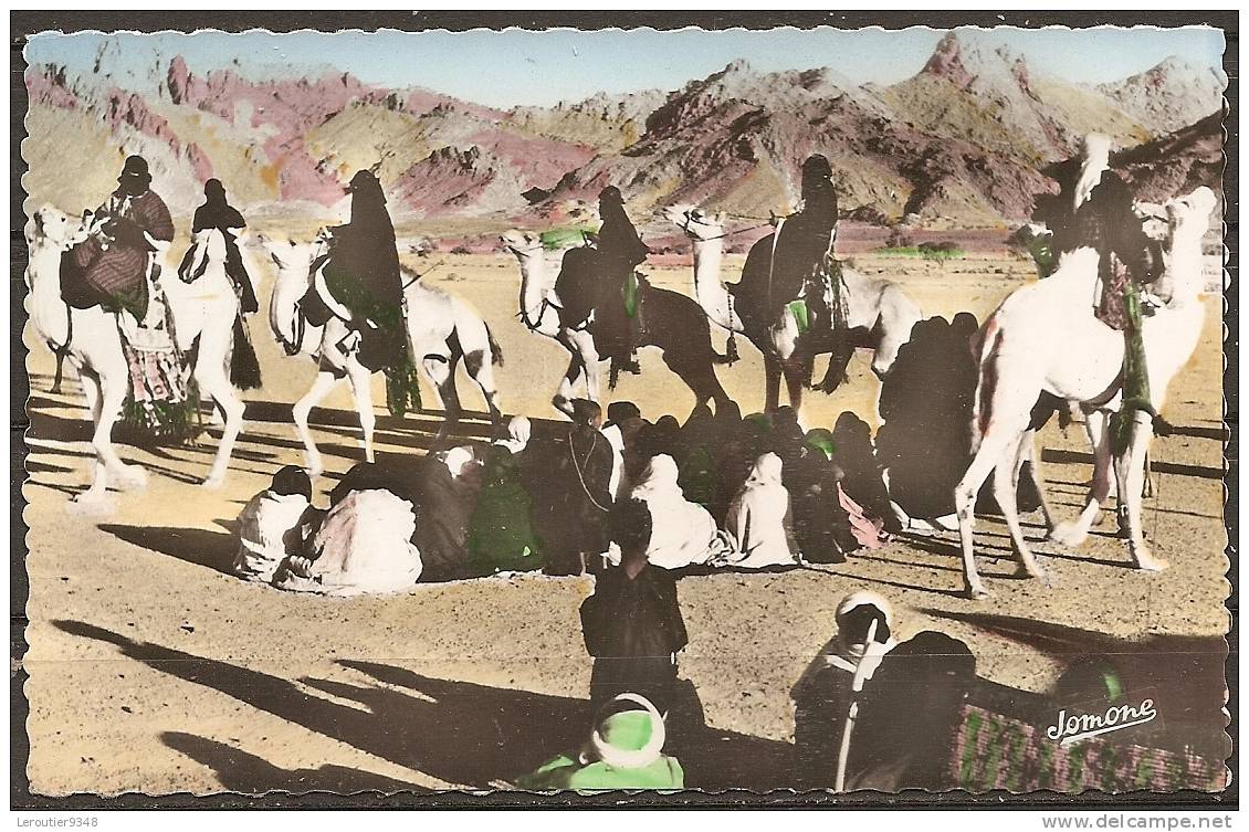 TAMANRASSET (algerie) danse des chameaux  (bon etat)
