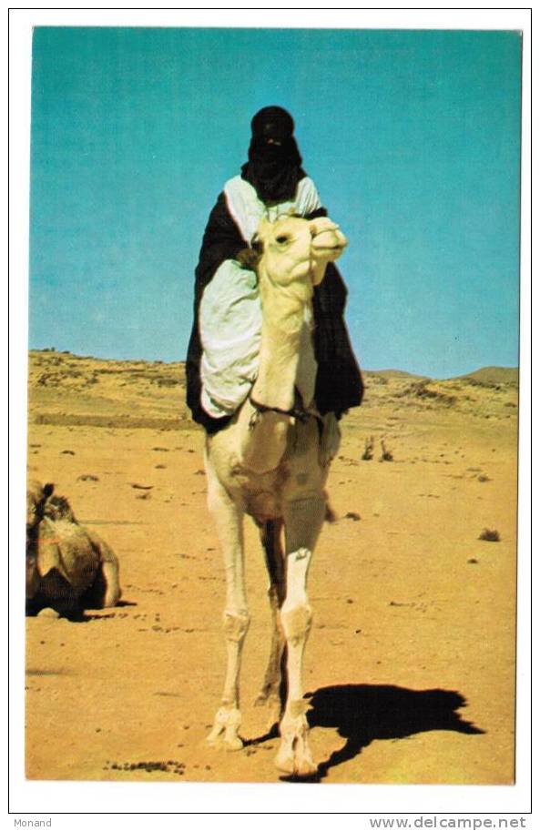 Tamanrasset  - Targui