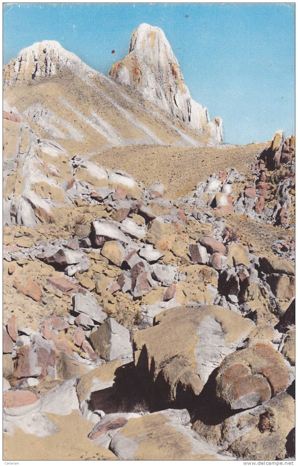 AFRIQUE,AFRICA,AFRIKA,TAM ANRASSET,TAMANGHASSET,for t laperrine,hoggar,pic ilamane,rocher,rare