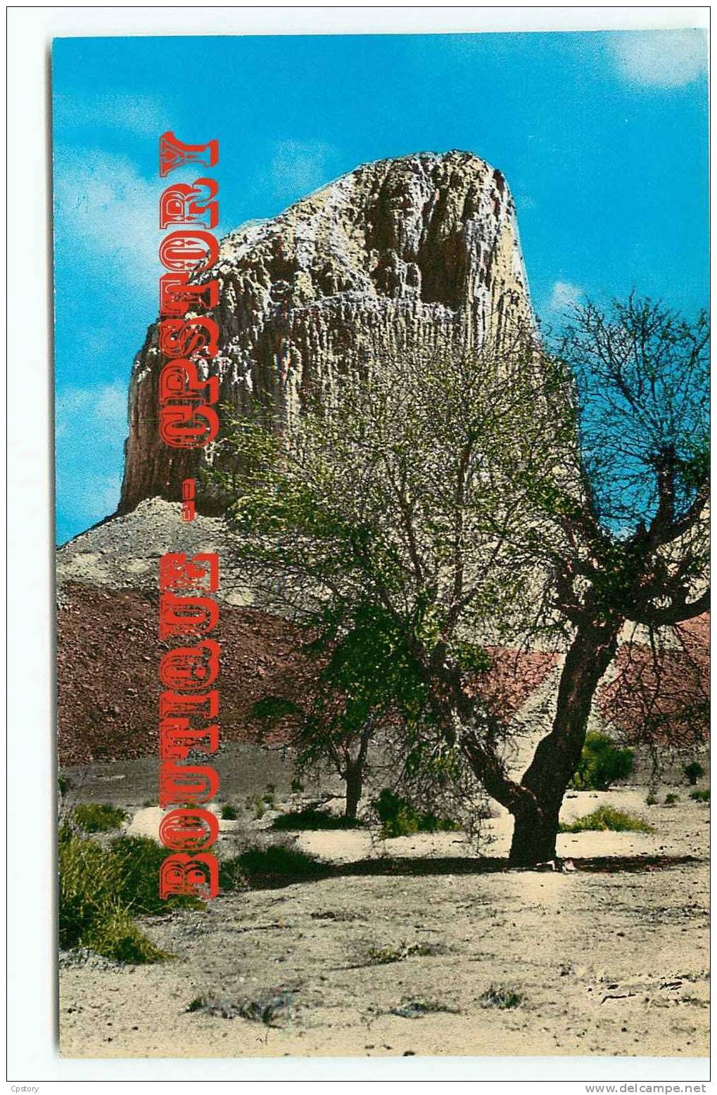 ALGERIE - TAMANRASSET - HOGGAR - Pic Laperrine - Dos Scané