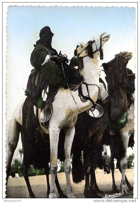 CPA (RéfJ988)  Méharistes à Tamanrasset (AFRIQUE ALGÉRIE Scènes & types) (animée)